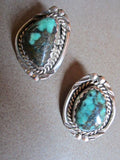 Handsome Rainbow Turquoise Post Earrings by L. Platero